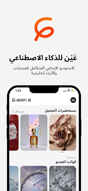 Aeen AI Screenshot 0