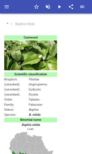 Wood species Screenshot 1