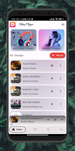 Blaze Player Screenshot 1