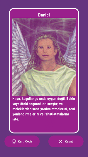 Melek Falı ruyaevi.com Screenshot 1