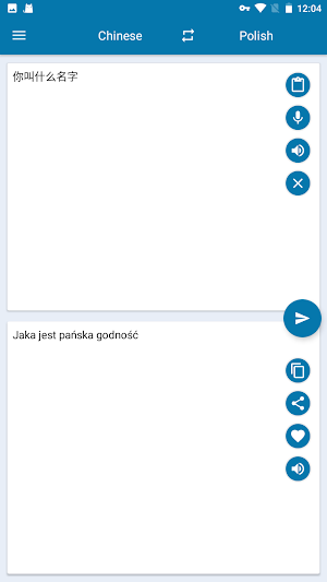 Chinese Polish Translation Screenshot 3