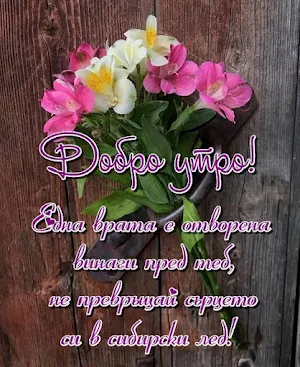 Картички Добро утро Screenshot 0