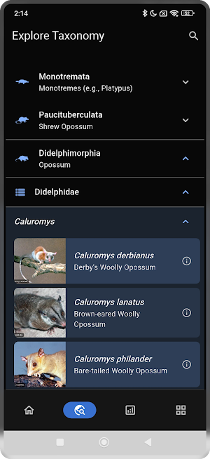 Mammal Diversity Screenshot 1