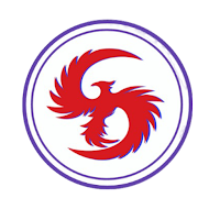 Limitless Lifestyle Hub