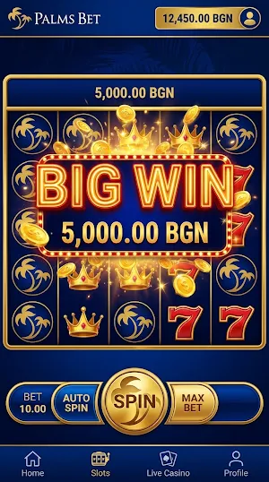 Palms Bet Screenshot 2