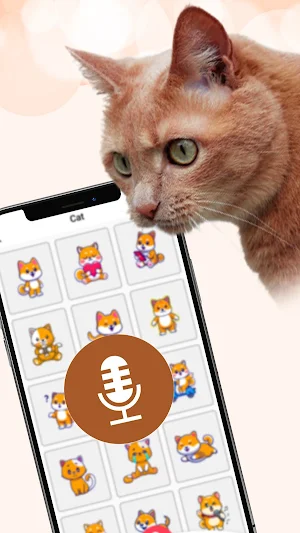 Human to Cat Translator Screenshot 2