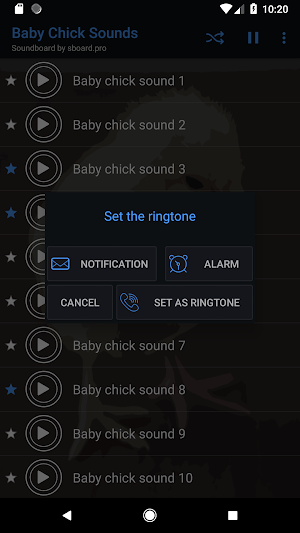 Baby chick sounds ~ Sboard.pro Screenshot 2