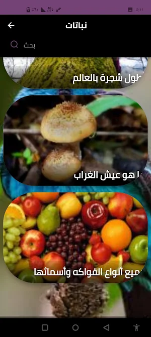 نباتات Screenshot 0