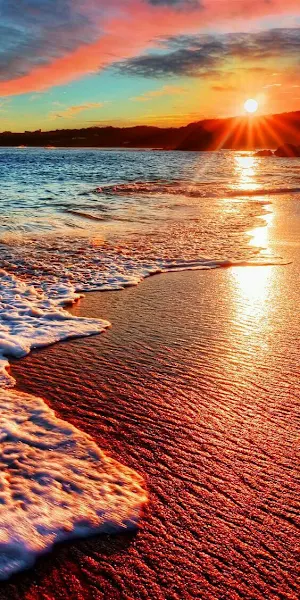 Cool Animated Wallpapers Screenshot 1