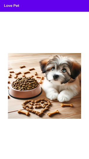 Love Pet Screenshot 3