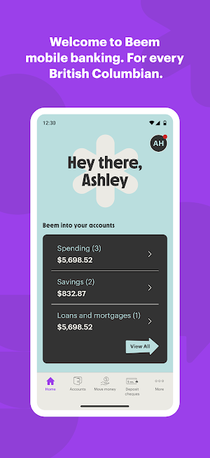 Beem Mobile Banking Screenshot 0