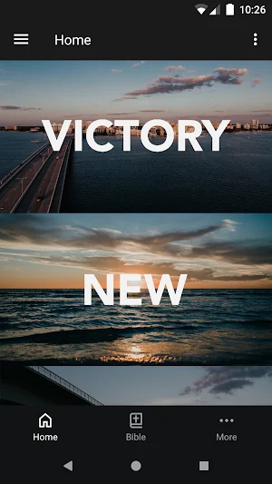VictoryFLA Screenshot 0