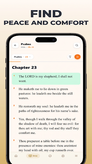 Holy Bible Offline Screenshot 1