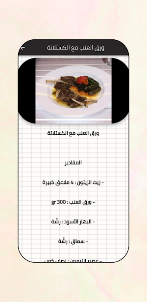 طبخات لبنانية : اكلات سهلة Screenshot 3