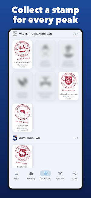 Kommunfångst Screenshot 3