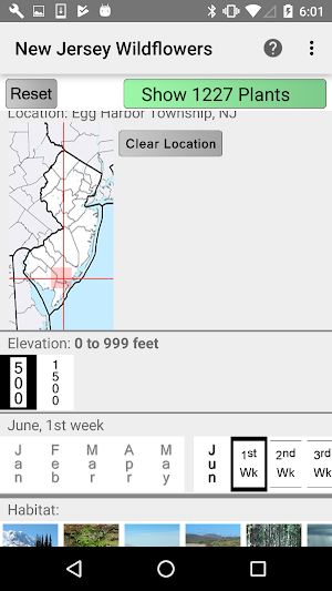 New Jersey Wildflowers Screenshot 1