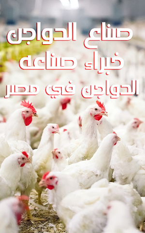 poultrymakers Screenshot 0