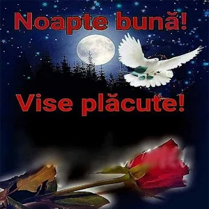 noapte bună Screenshot 3