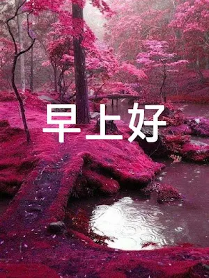 早安晚安 GIFs 2023 Screenshot 0