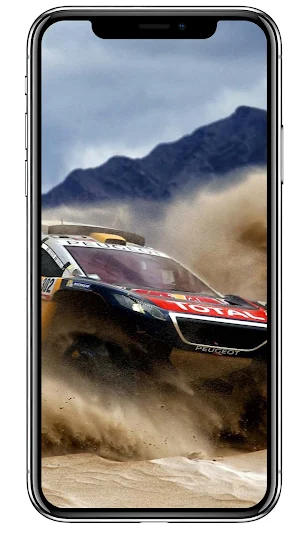 Cars Rally Wallpapers Screenshot 3