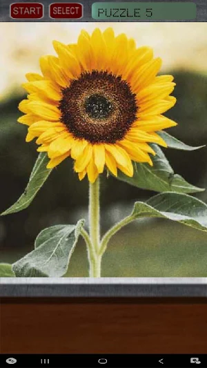 Flower Puzzle Screenshot 0