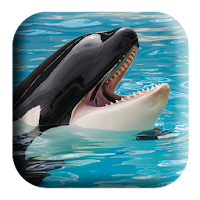 Beluga Whale Sounds
