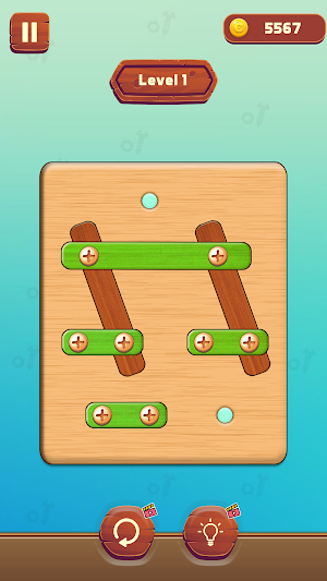 Nuts & Bolts: Screw Pin Puzzle Screenshot 1