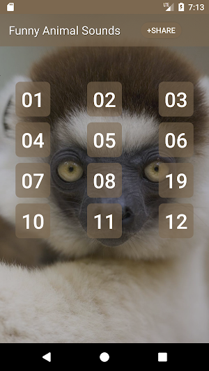 Funny Animal Sounds Screenshot 0