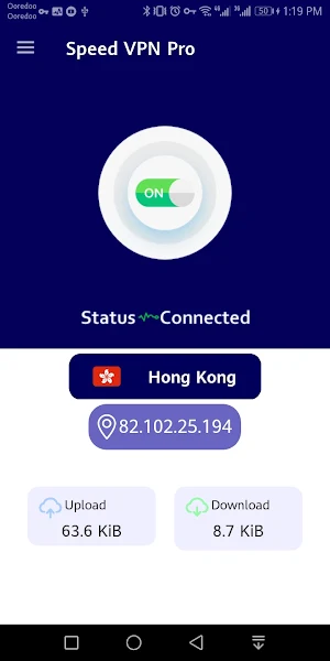 Speed VPN Pro - Fast & Secure Screenshot 1