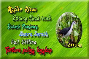 Suara Burung Ruak Ruak MP3 Screenshot 1