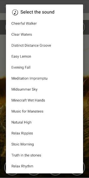 Relaxing Sleep / Study Music Screenshot 1