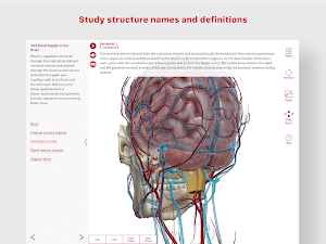 Anatomy & Physiology Screenshot 3