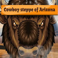 Cowboy steppe of Arizona