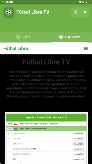 Fútbol Libre TV Screenshot 0