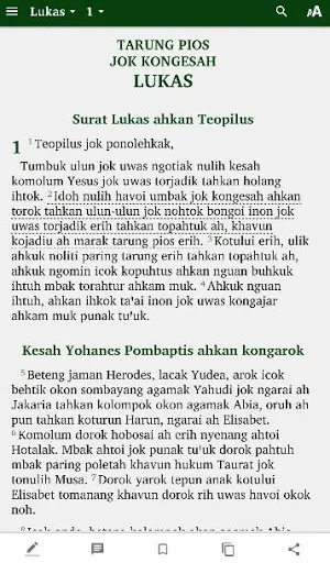Alkitab Uud Danum Screenshot 0