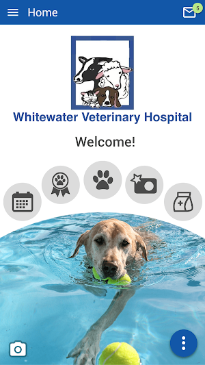 WW VetHospital Screenshot 0