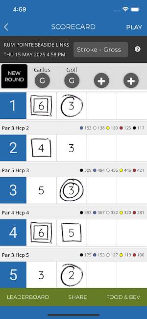 Ruark Golf Screenshot 3
