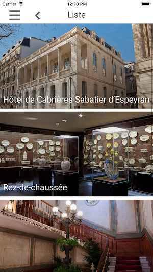 Hôtel Sabatier d’Espeyran Screenshot 2