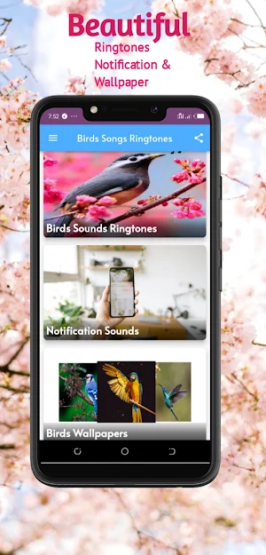 Bird Songs ringtones Screenshot 1