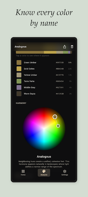 Undertone - Color Analysis Screenshot 2