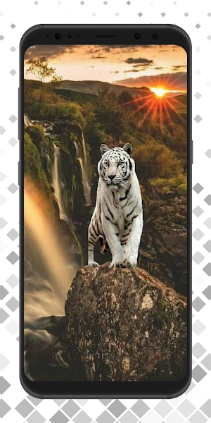 White Tiger Wallpaper 4K Screenshot 3