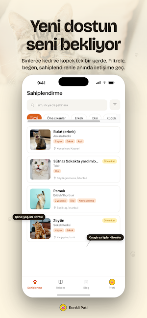Renkli Pati: Sahiplendirme Screenshot 0