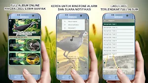 Suara Burung Ruak Ruak Offline Screenshot 2