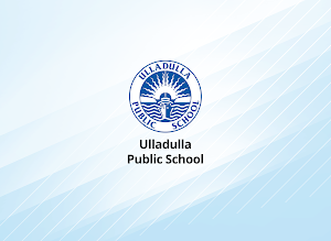 Ulladulla Public School Screenshot 1
