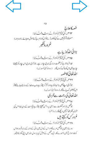 Aik Hazaar Ahadees e Nabvi Screenshot 1