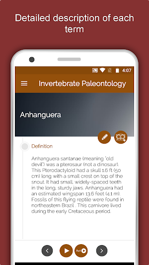 Palaeontology Dictionary - Fossil Discovery Guide Screenshot 3