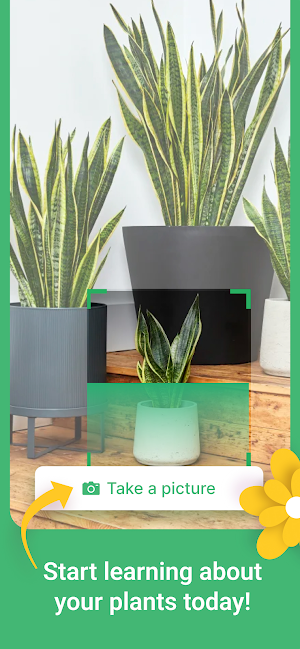 Plant Eye - AI Identifier Screenshot 0