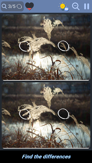 Differences - Find them Screenshot 0
