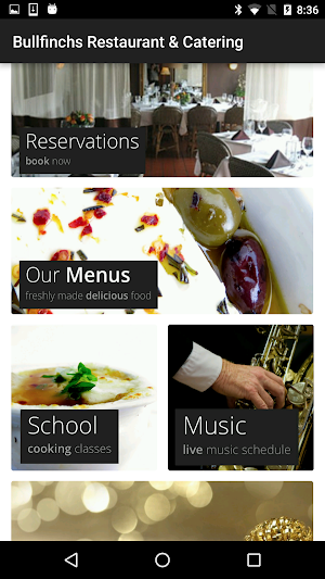 Bullfinch's Screenshot 1