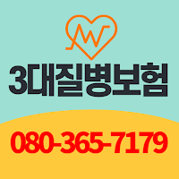 3대질병보험